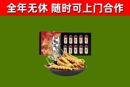 鄯善县回收冬虫夏草价格